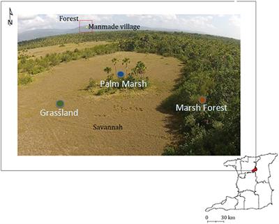 An influencer pathway framework for sustainable tourism in SIDS ecotourism hotspots: A case of Aripo ecosystems, Trinidad